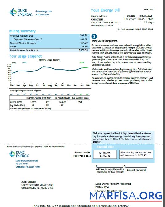 Printable USA Duke Energy utility bill template in Word and PDF formats, version 5